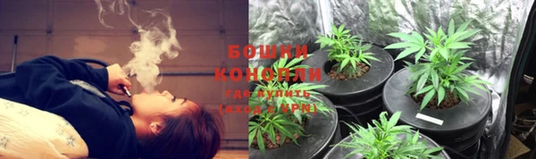 jwh Новозыбков