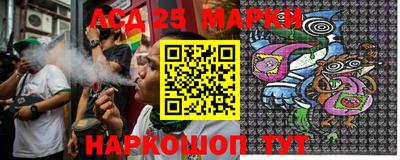 шишки Апшеронск