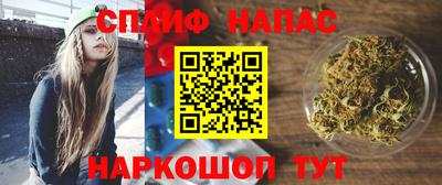 шишки Апшеронск