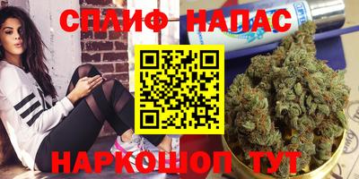 гидропоника Дубна