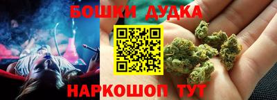 гидропоника Дубна